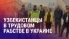 Азия: узбекистанцев освободили из трудового рабства, вербовка кыргызстанца на войну
